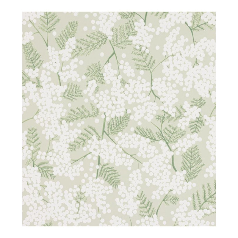 Papier peint fleuri Mimosa Jane Churchill