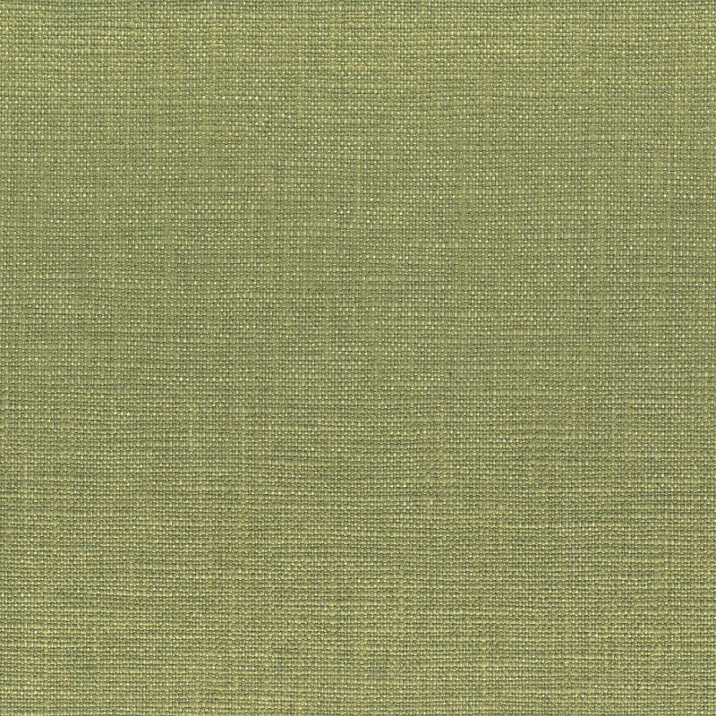 Tissu uni Biseau Casamance