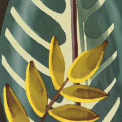Papier peint Alocasia marque Elitis