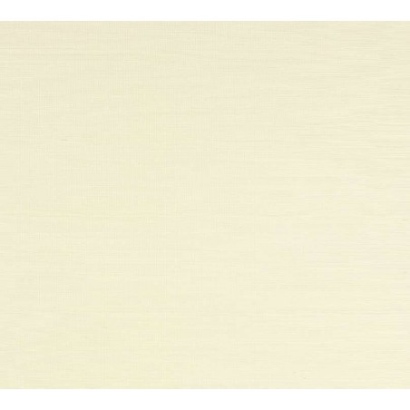 Papier peint Seagrass marque Colefax and Fowler