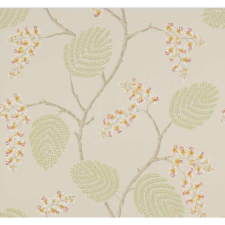Papier peint Atwood marque Colefax and Fowler