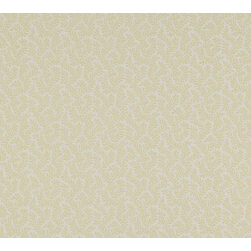 Papier peint Rushmere marque Colefax and Fowler