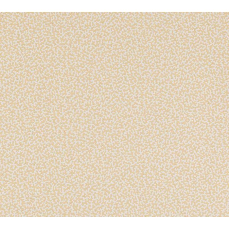 Papier peint Wendle marque Colefax and Fowler