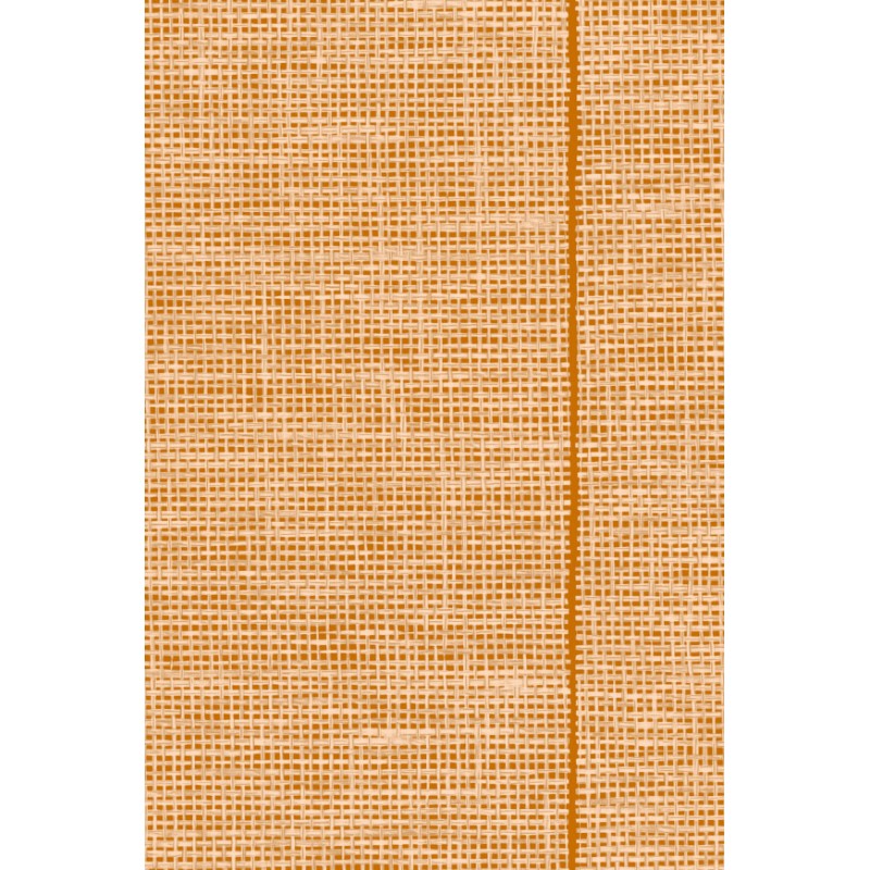 Papier peint Le Raphia Tissé marque Arte