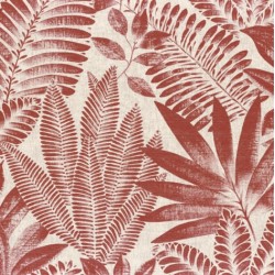 Papier peint Aloes Casamance