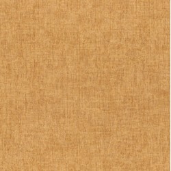 Papier peint Diola Casamance