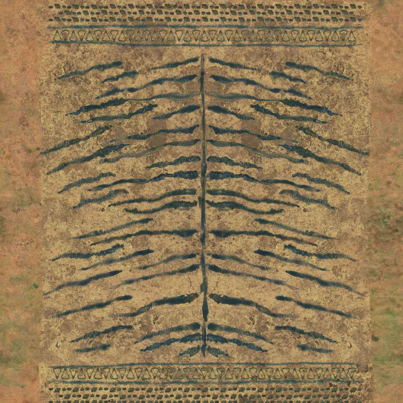 Panoramique animaux Tigre royal par Élitis