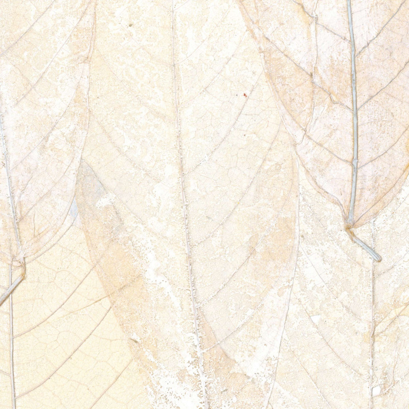 Revêtement mural texture Blanche Neige par Élitis