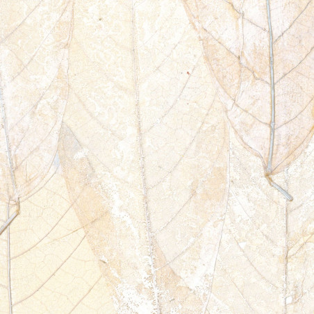 Revêtement mural texture Blanche Neige par Élitis