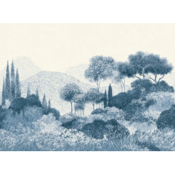 Panoramique paysage Maquis Corse Casamance