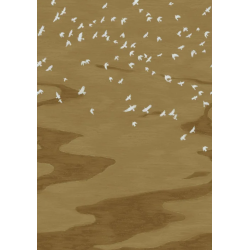 Panoramique animaux Migration Casamance
