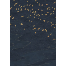 Panoramique animaux Migration Casamance