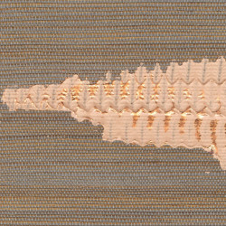 Papier peint texture Orion...