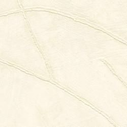 Papier peint trompe l'oeil...